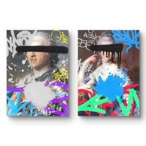 set de 2 tableaux picsou (copie)