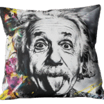 Coussin Albert Einstein