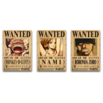 Set de 3 Tableaux Trio de Pirates Légendaires